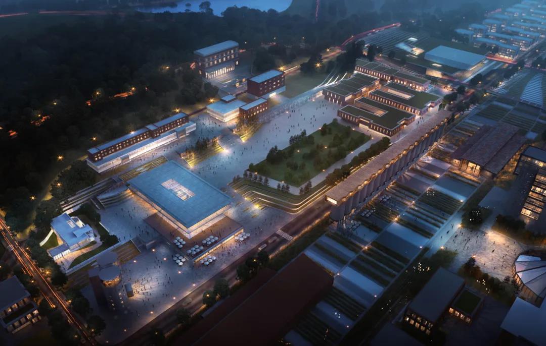 金隅,德勤,大學